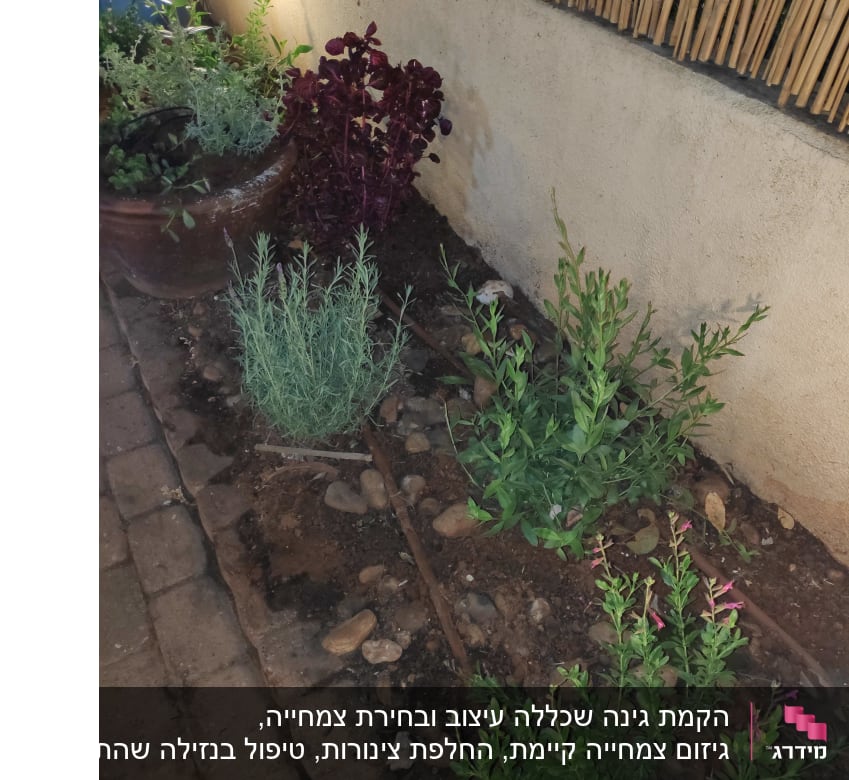 צמחים ופרחים בגינה קטנה עם אדמה ואבנים